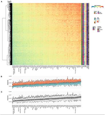 A Comprehensive View on the Human Antibody Repertoire Against Staphylococcus aureus Antigens in the General Population